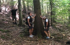Waldbaden, © Walter Hasslinger Waldbaden, © Walter Hasslinger