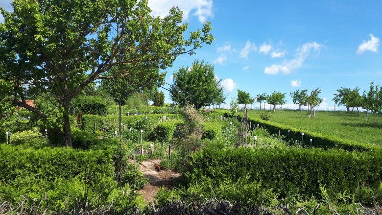Sonnenkräuterhof Schmidt, © "Natur im Garten"/S. Litschauer Ein gepflegter Kräutergarten mit grünen Hecken und Bäumen unter blauem Himmel.