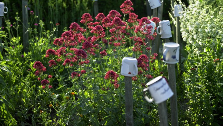 Privatgarten Gertraude Schmidt, © Natur im Garten/Alexander Haiden Privatgarten Gertraude Schmidt, © Natur im Garten/Alexander Haiden