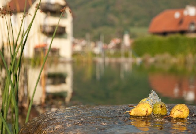 Badeteich, © Residenz Wachau Birnen auf einem Stein am Rand eines Teiches mit unscharfem Hintergrund.