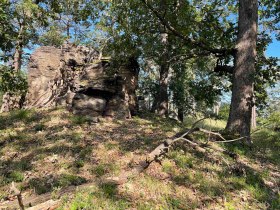 Entlang des Weges, &copy; Wachau Inside