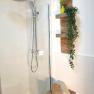 Dusche mit Regenduschkopf, daneben ein Regal mit Pflanzen und Handt&uuml;chern.