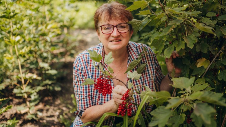 Frau in kariertem Hemd pflückt rote Beeren im Garten.