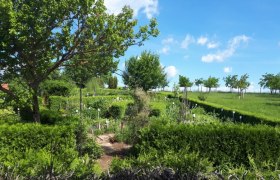 Ein gepflegter Kr&auml;utergarten mit gr&uuml;nen Hecken und B&auml;umen unter blauem Himmel.