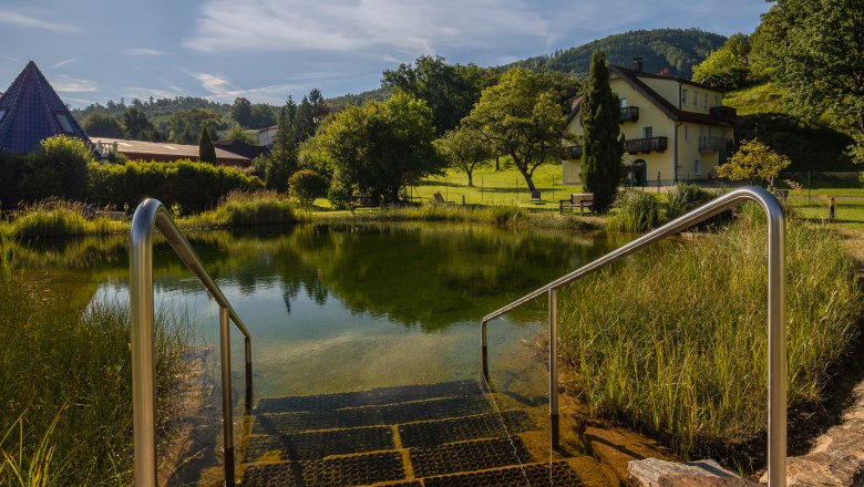 Treppen führen in einen Teich mit klarem Wasser, umgeben von grüner Landschaft und einem Haus im Hintergrund, unter einem strahlend blauen Himmel mit Sonne.