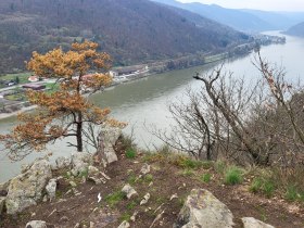 Luftbergweg, © Mostviertel